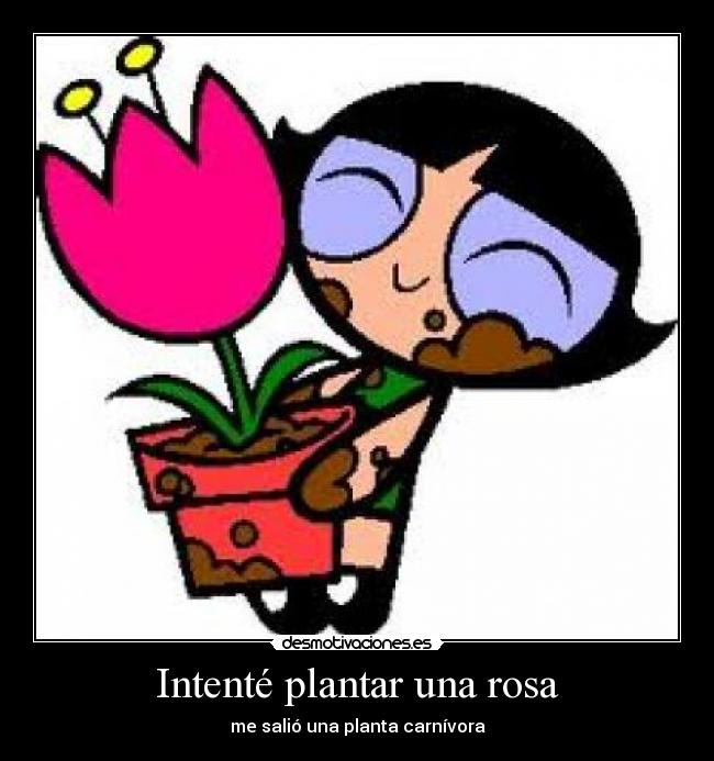 Intenté plantar una rosa - me salió una planta carnívora