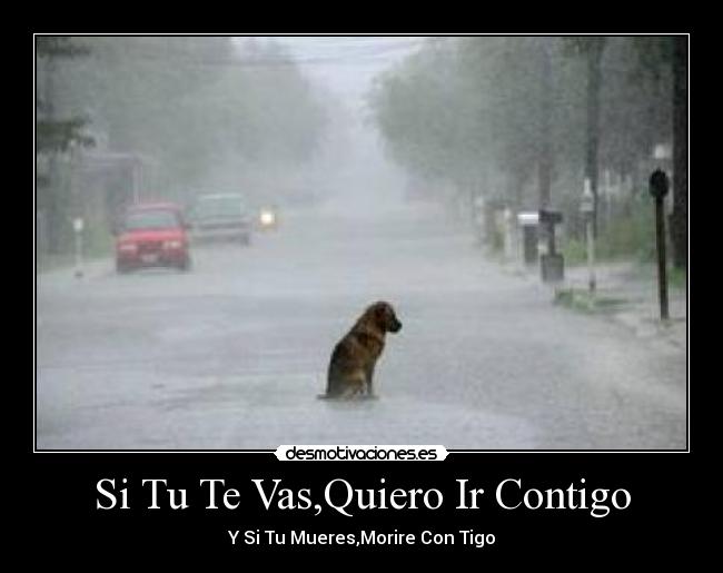 Si Tu Te Vas,Quiero Ir Contigo - 