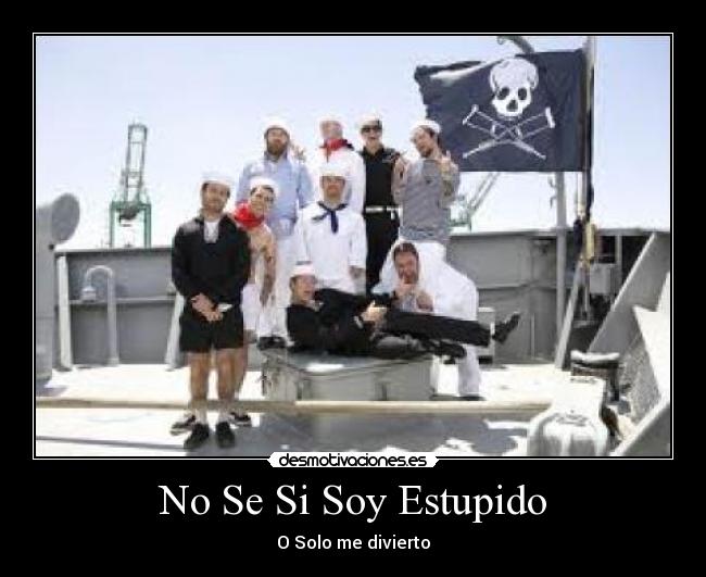 No Se Si Soy Estupido - 