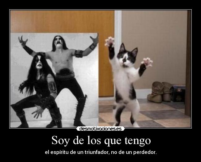 carteles soy los que tengo desmotivaciones