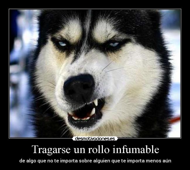 Tragarse un rollo infumable - de algo que no te importa sobre alguien que te importa menos aún