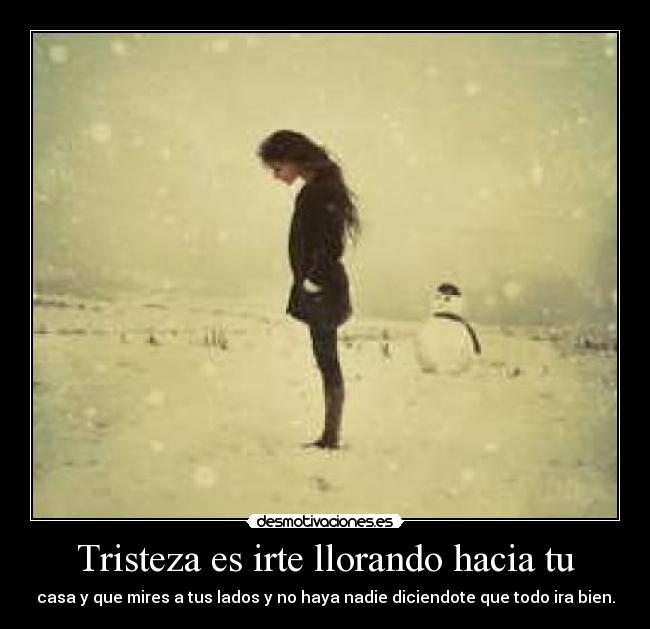 carteles tristeza ss1996 desmotivaciones