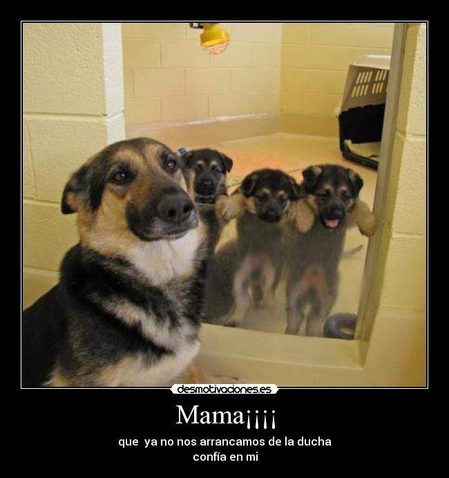 Mama¡¡¡¡ - que ya no nos arrancamos de la ducha
confía en mi