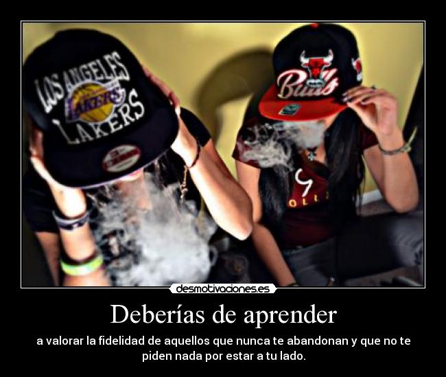 Deberías de aprender - a valorar la fidelidad de aquellos que nunca te abandonan y que no te
piden nada por estar a tu lado.