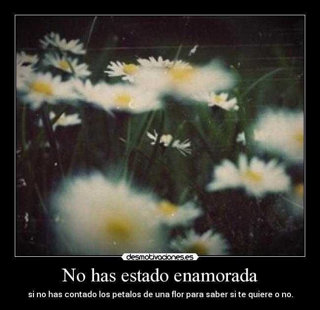No has estado enamorada -