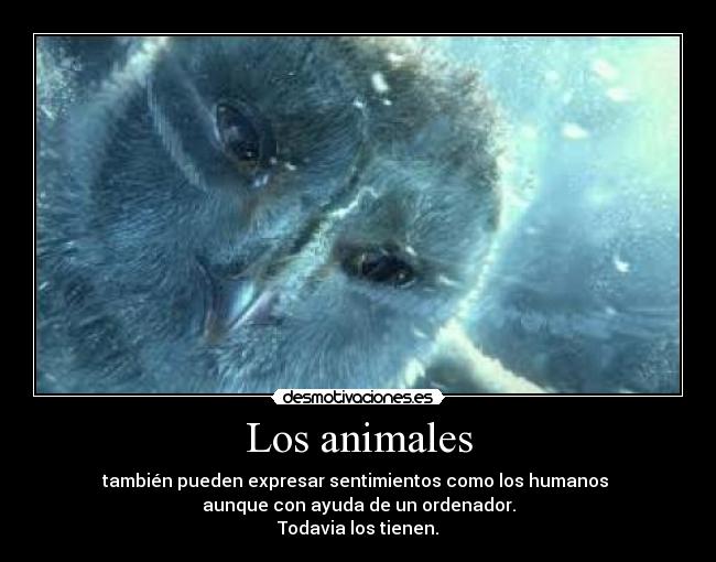 Los animales - también pueden expresar sentimientos como los humanos
aunque con ayuda de un ordenador.
Todavia los tienen.