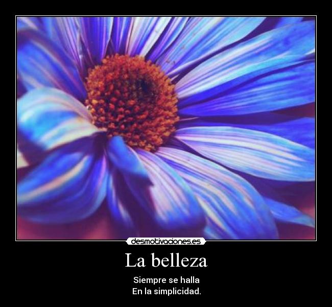 La belleza - Siempre se halla
En la simplicidad.