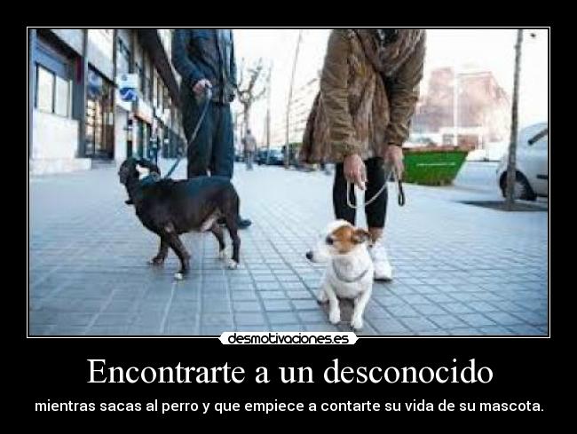 Encontrarte a un desconocido - mientras sacas al perro y que empiece a contarte su vida de su mascota.