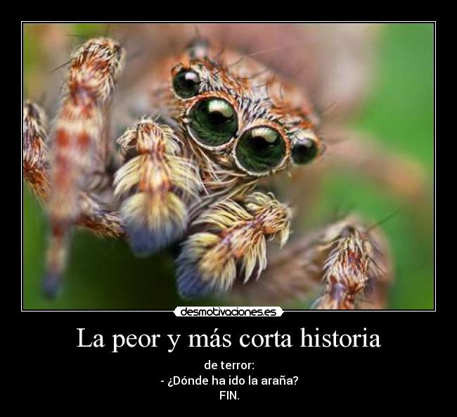 La peor y más corta historia -