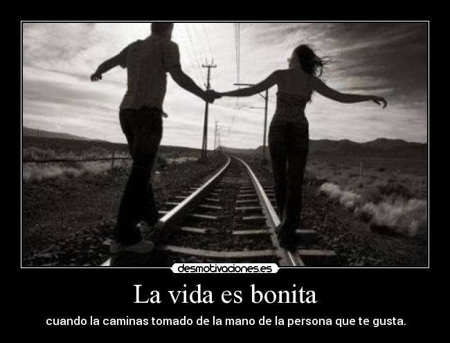 La vida es bonita - 