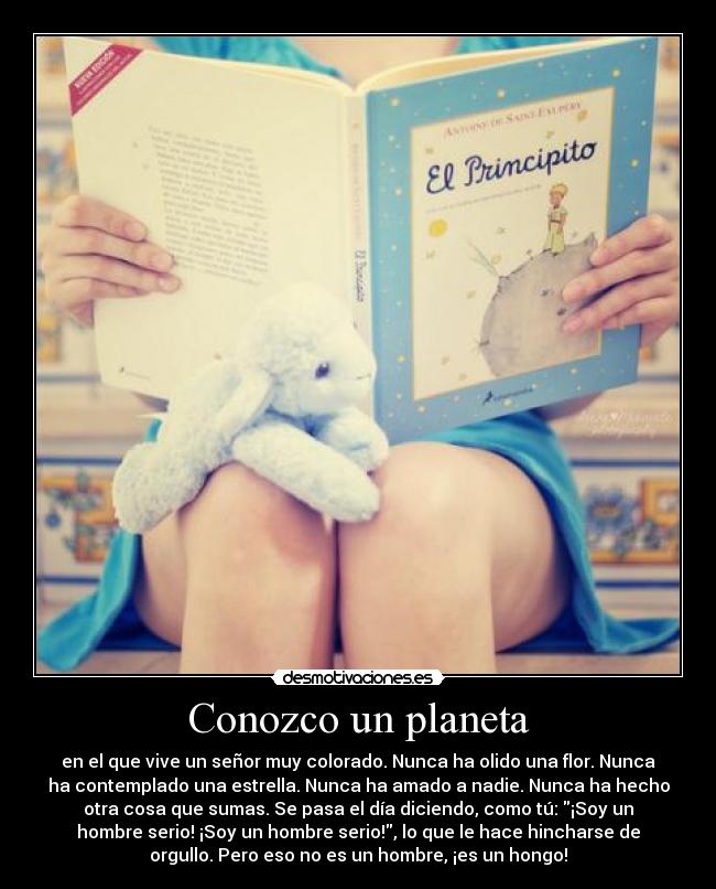 carteles principito petit prince laprincesita desmotivaciones