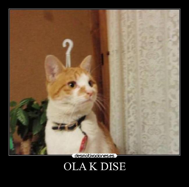 OLA K DISE -