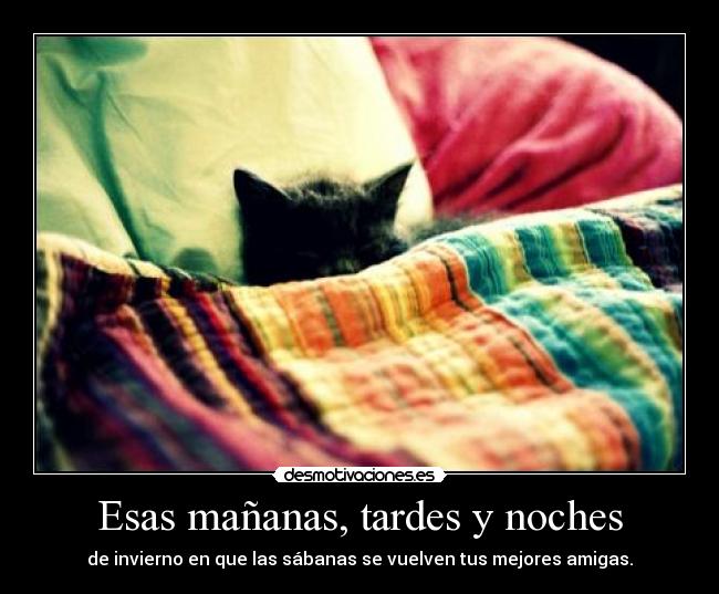 Esas mañanas, tardes y noches - de invierno en que las sábanas se vuelven tus mejores amigas.