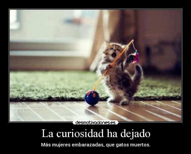La curiosidad ha dejado - Más mujeres embarazadas, que gatos muertos.