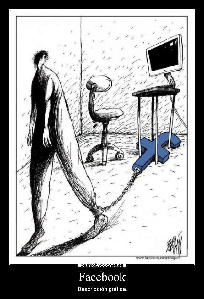 Facebook - Descripción gráfica.
