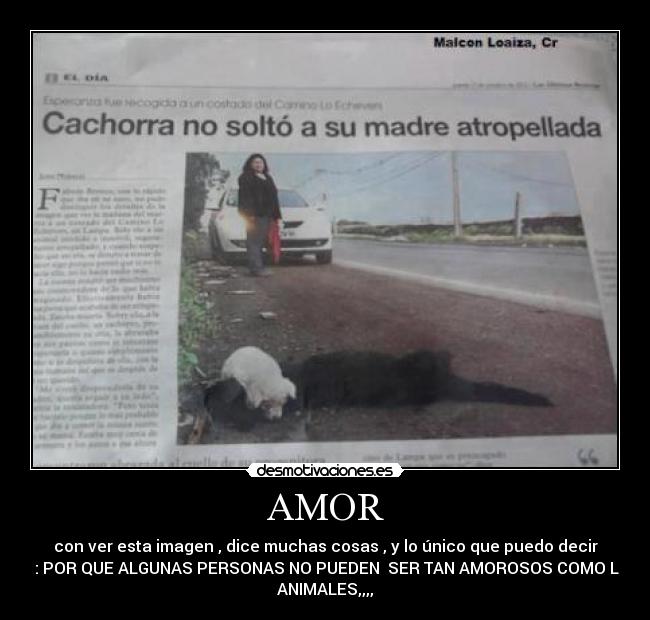 AMOR - con ver esta imagen , dice muchas cosas , y lo único que puedo decir
es : POR QUE ALGUNAS PERSONAS NO PUEDEN SER TAN AMOROSOS COMO LOS
ANIMALES,,,,