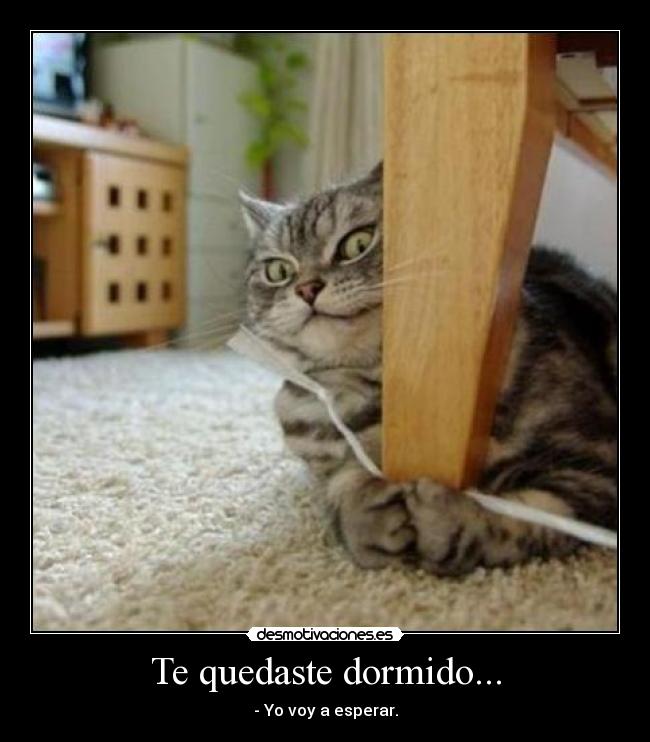 Te quedaste dormido... - - Yo voy a esperar.