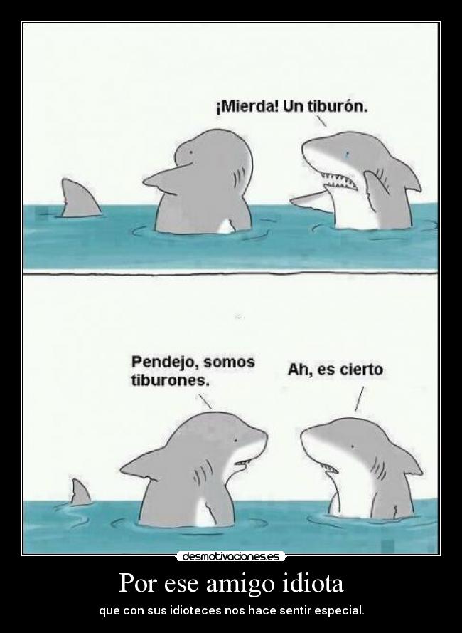 Por ese amigo idiota - 