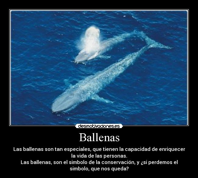 carteles taffe desmotivaciones