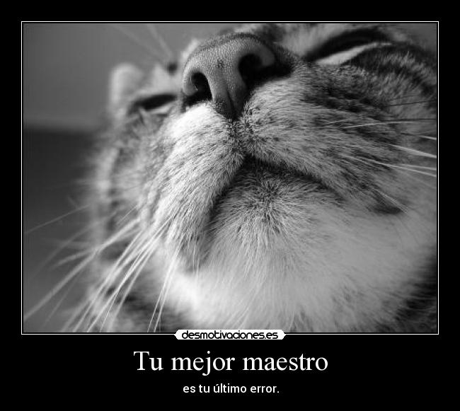 Tu mejor maestro - 