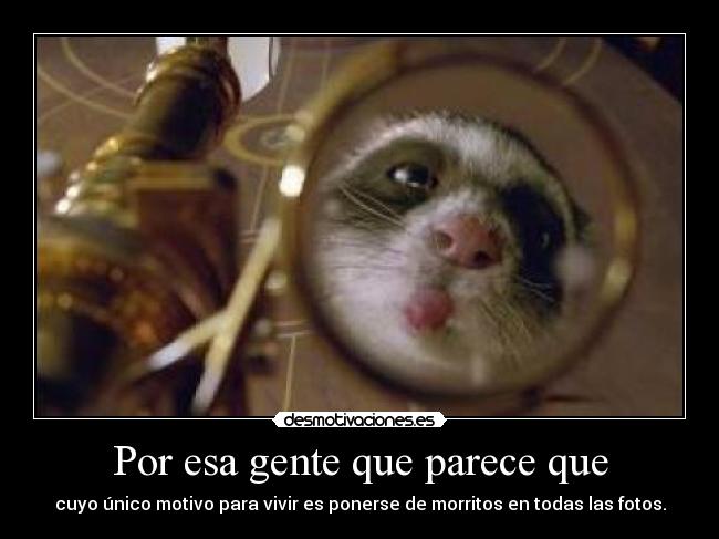 Por esa gente que parece que -