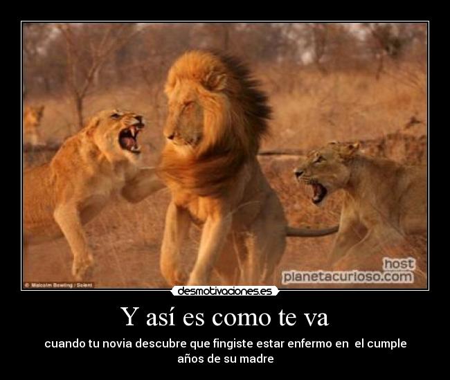 Y así es como te va - cuando tu novia descubre que fingiste estar enfermo en el cumple años de su madre