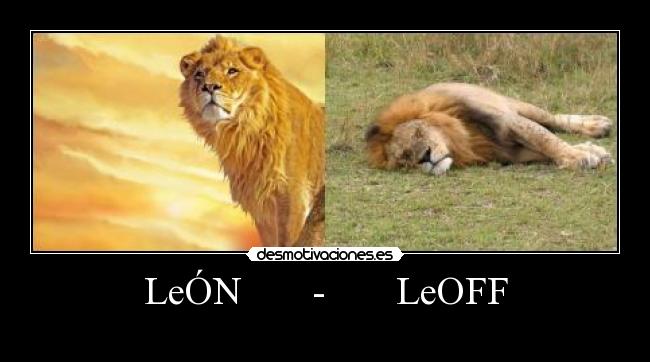 LeÓN - LeOFF -