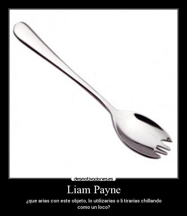 Liam Payne -