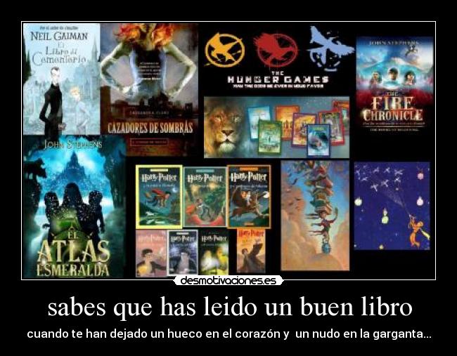 sabes que has leido un buen libro - 