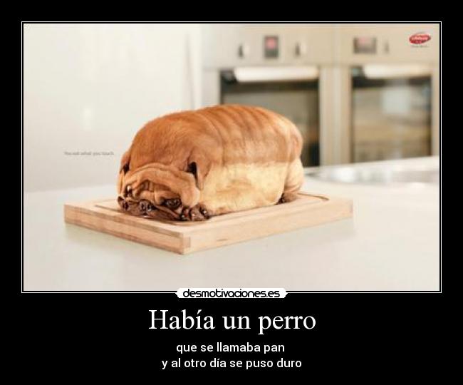 Había un perro - que se llamaba pan
y al otro día se puso duro