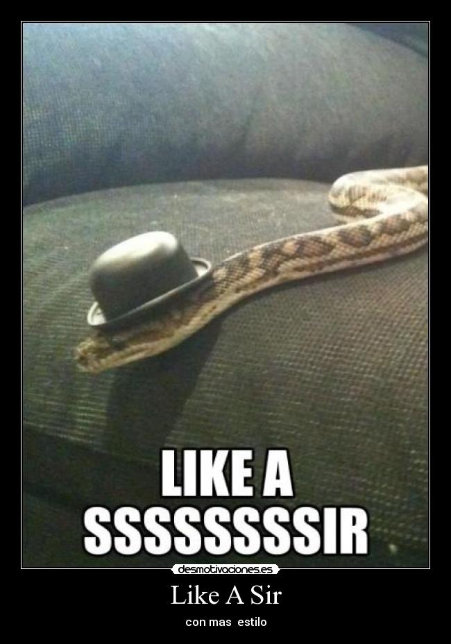 Like A Sir - con mas estilo