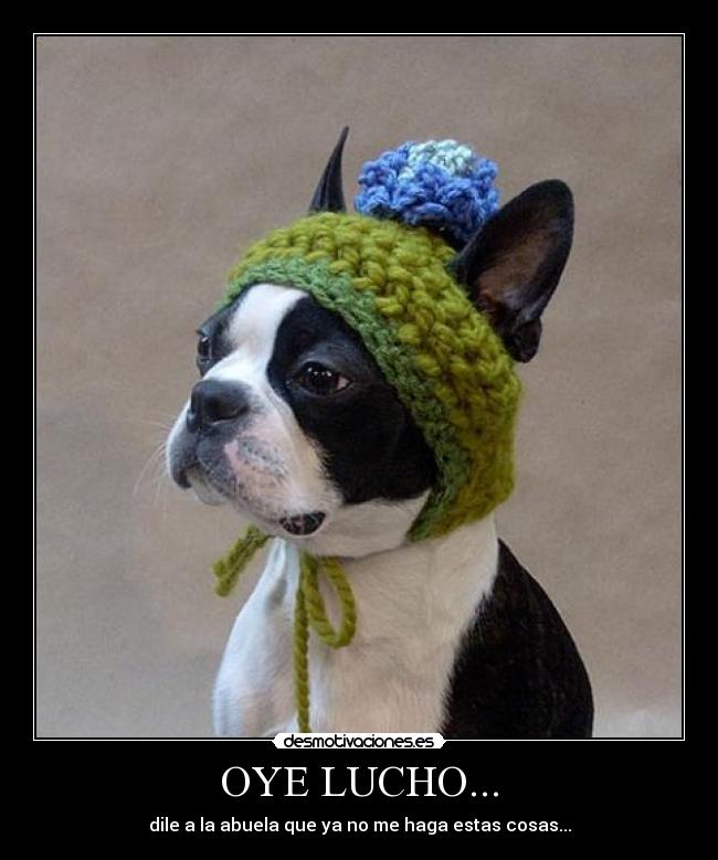 OYE LUCHO... - 