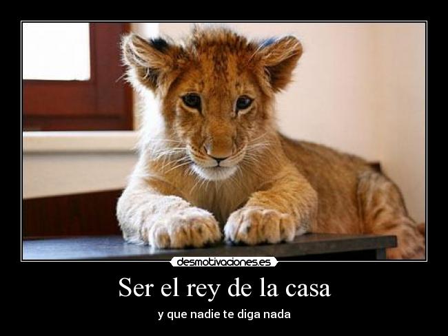 Ser el rey de la casa -