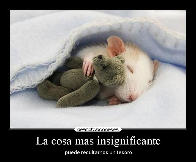 La cosa mas insignificante - 