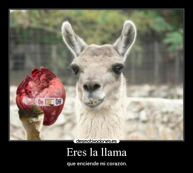 Eres la llama - que enciende mi corazón.