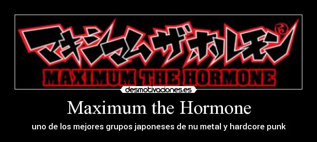 Maximum the Hormone - 