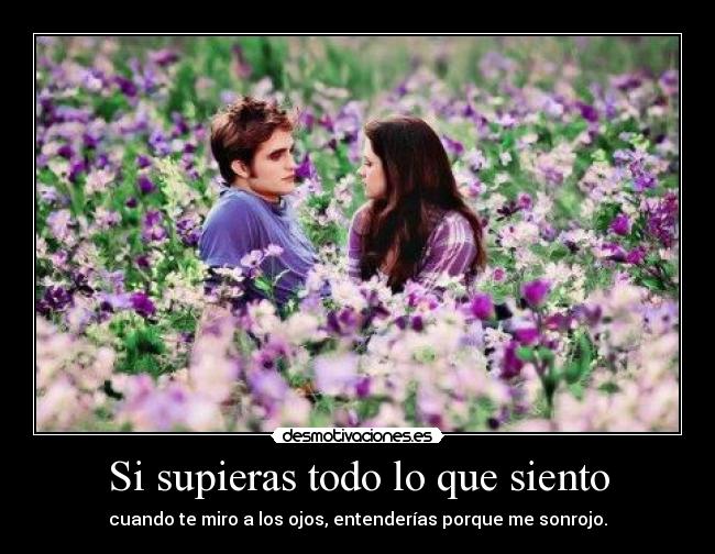 Si supieras todo lo que siento - cuando te miro a los ojos, entenderías porque me sonrojo.