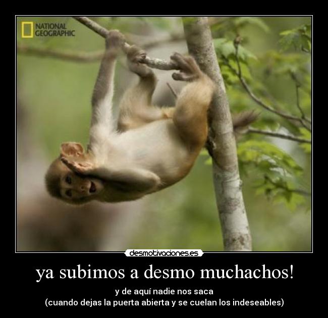 ya subimos a desmo muchachos! - y de aquí nadie nos saca
(cuando dejas la puerta abierta y se cuelan los indeseables)