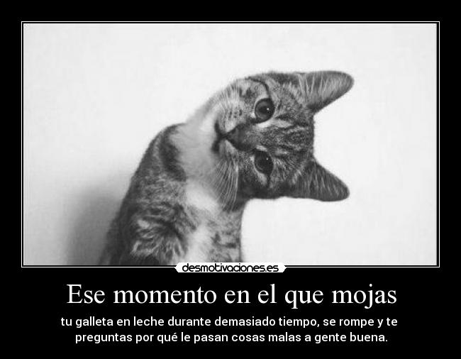 Ese momento en el que mojas - 