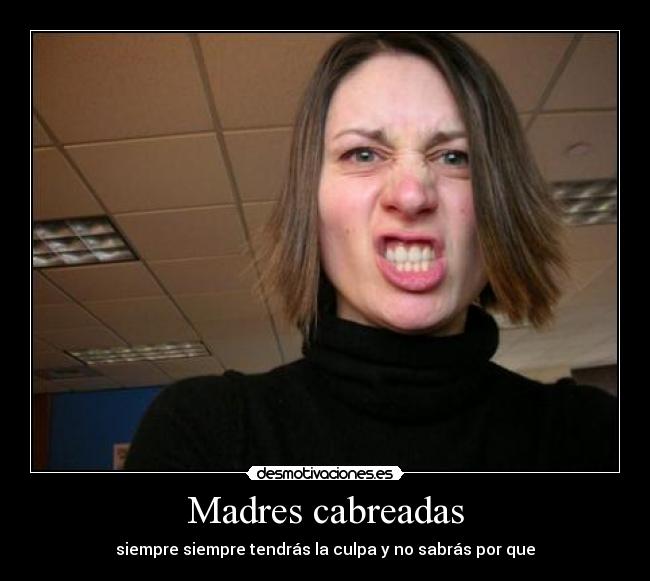carteles madres cabreadas desmotivaciones