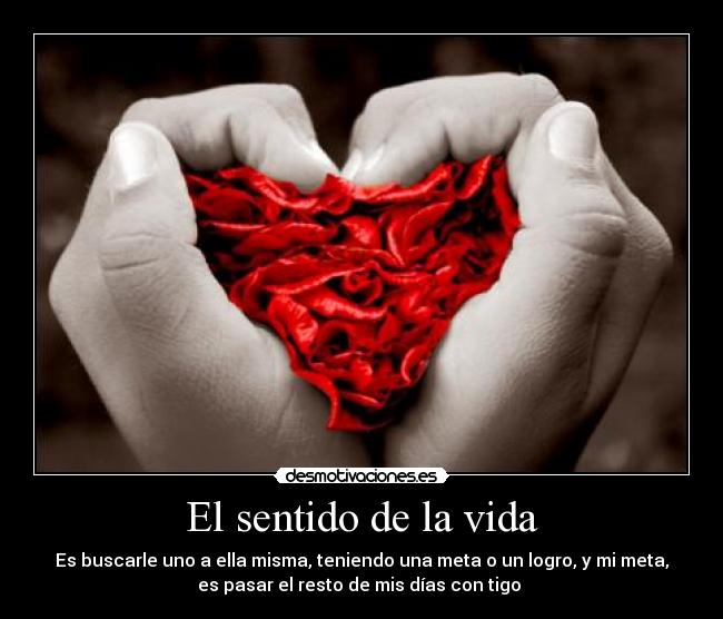 carteles vida desmotivacionessamuel desmotivaciones