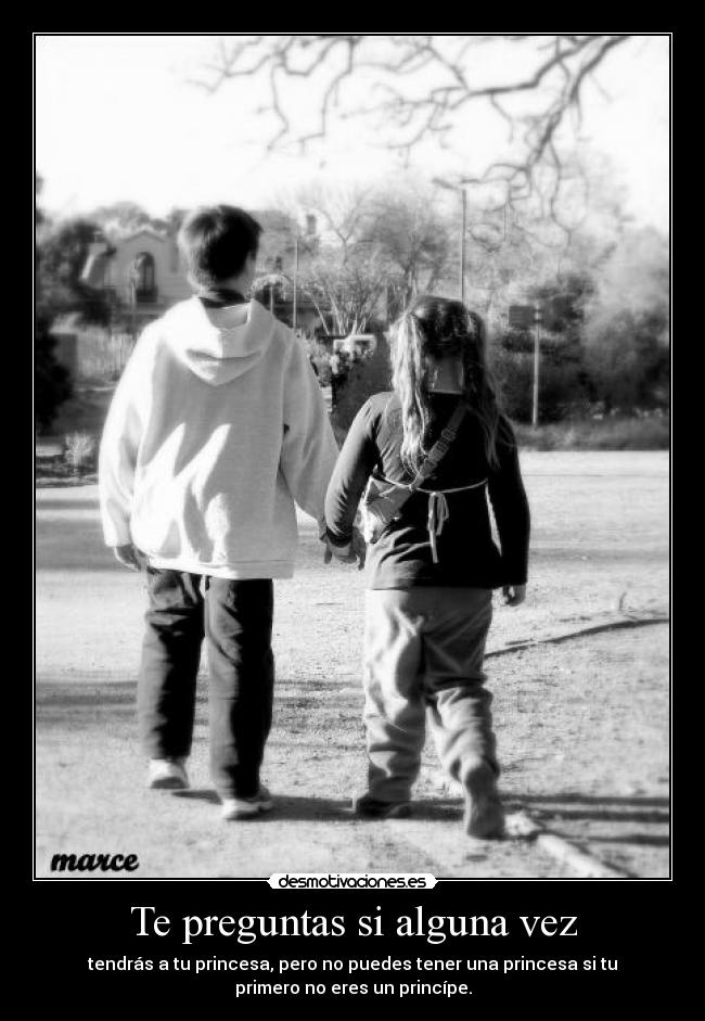 carteles principes princesas desmotivaciones