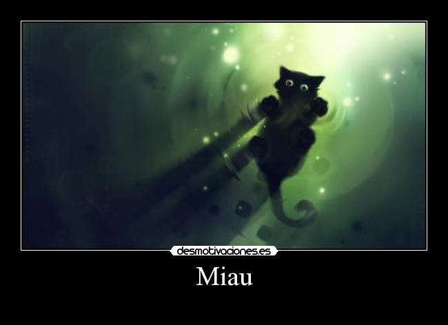 Miau - 