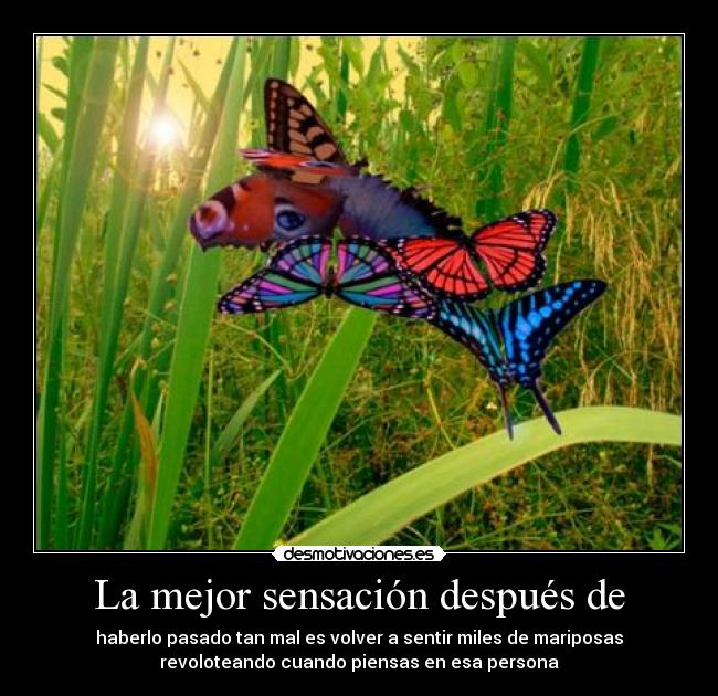 La mejor sensación después de - 