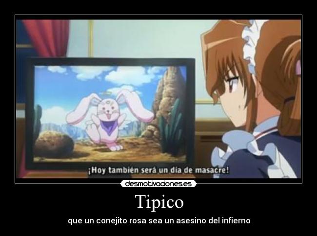 Tipico -