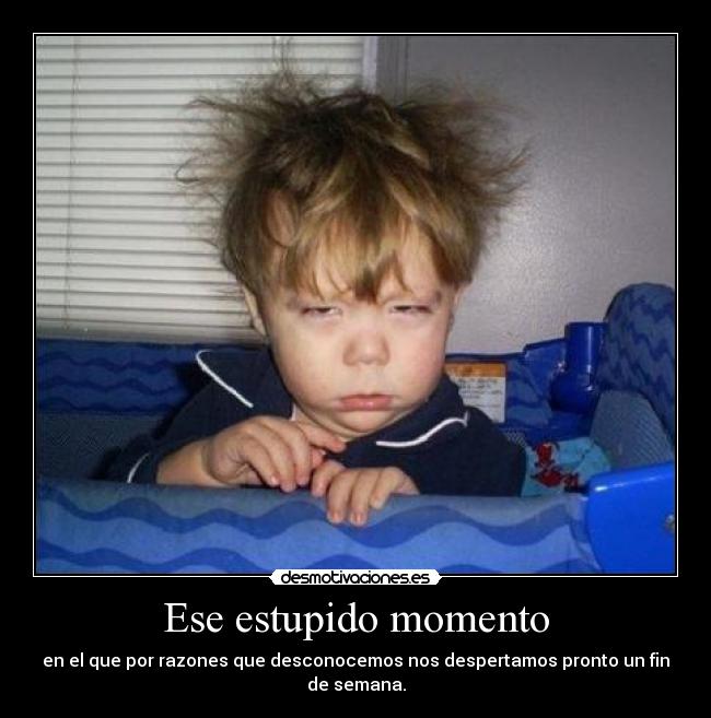 Ese estupido momento - en el que por razones que desconocemos nos despertamos pronto un fin de semana.