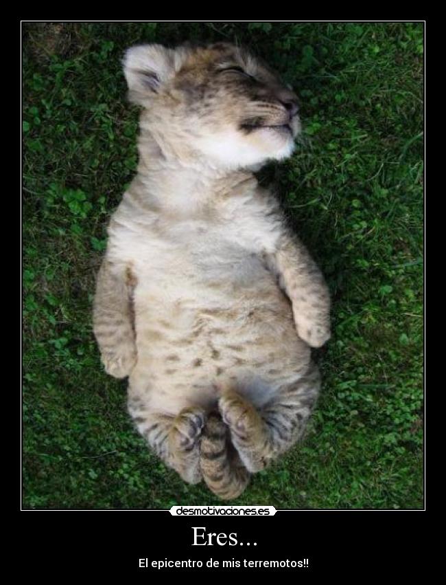 Eres... - El epicentro de mis terremotos!!