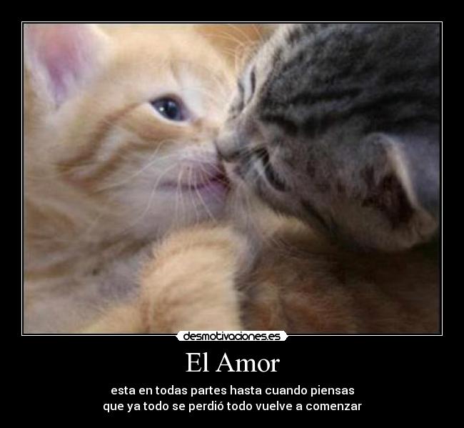 El Amor -