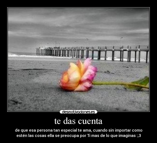 carteles bipoxz desmotivaciones