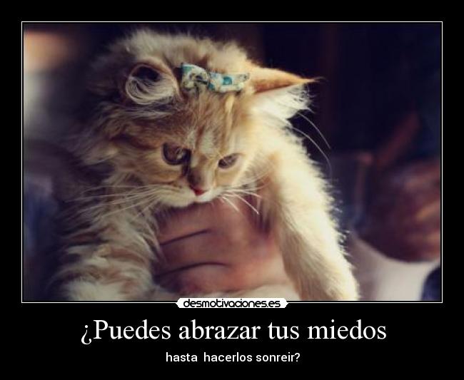 ¿Puedes abrazar tus miedos -